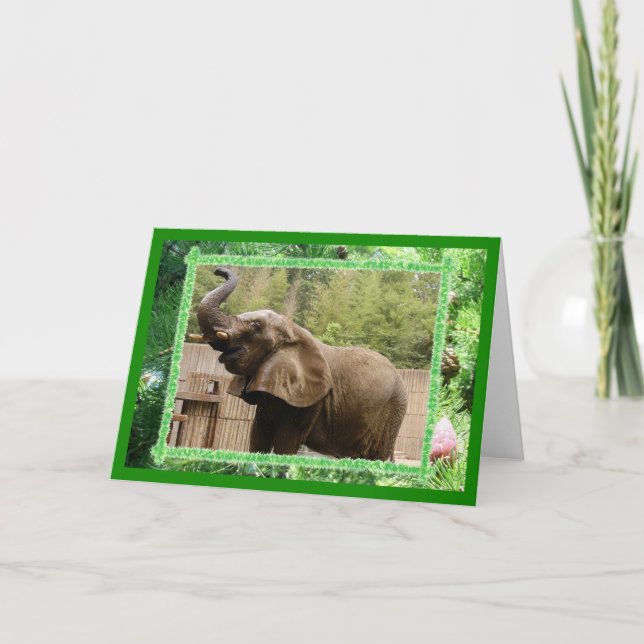 Carte de voeux de Noël des éléphants africains (Devant)