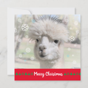 Carte de voeux de Noël Joyeux Alpaca
