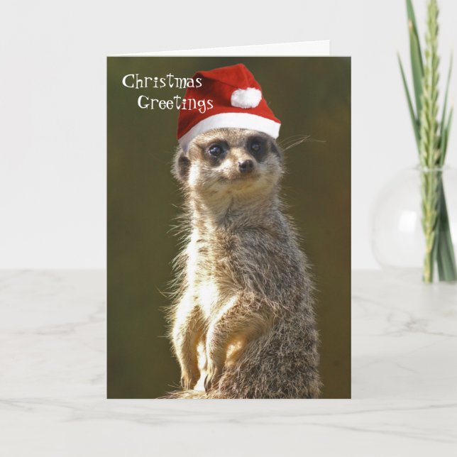 Carte de voeux de Noël Meerkat (Devant)