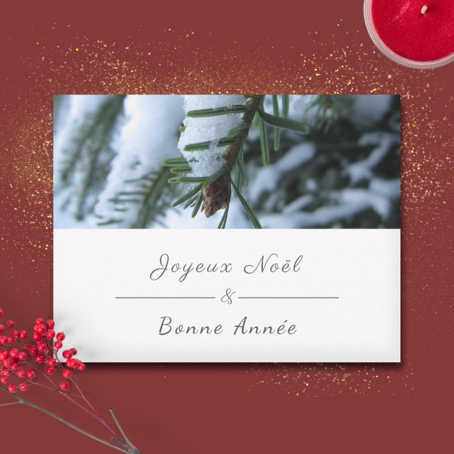 Carte de Voeux de Noël, Photo de branche de sapin (Joyeux Noël, French Christmas & New Year, Fir Tree Holiday Card)