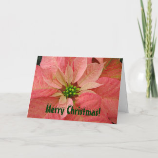 Carte de voeux de Noël Poinsettia