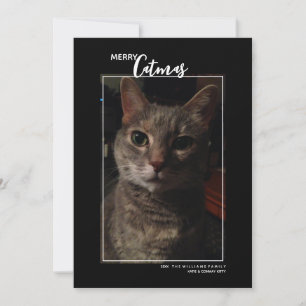 Carte de vœux de Noël pour animaux de compagnie Me