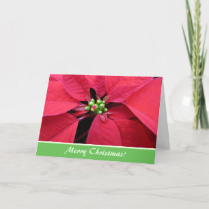 Carte de voeux de Noël Red Poinsettia