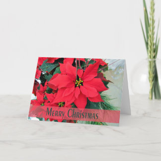 Carte de voeux de Noël Red Poinsettias