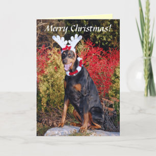 Carte de voeux de Noël Reindobe
