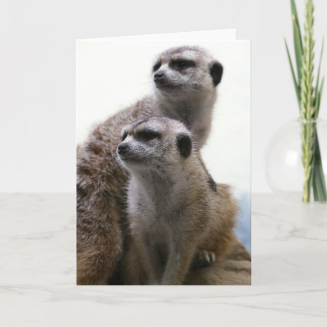 Carte de voeux de paires de Meerkat (Devant)