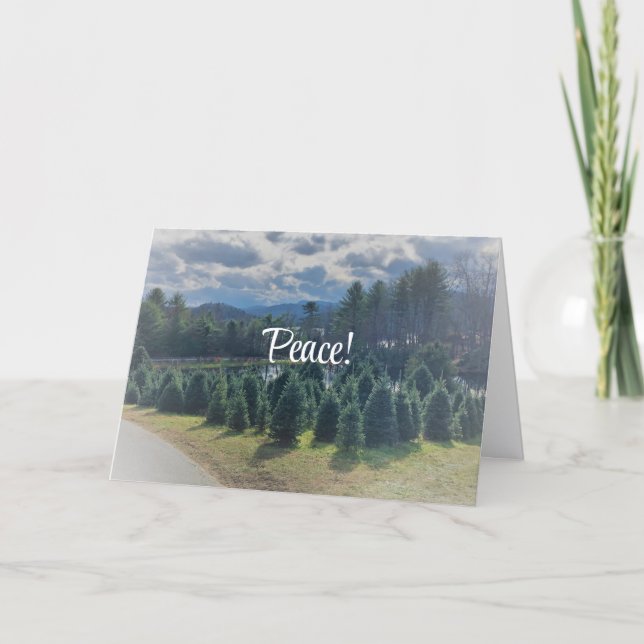 Carte de voeux de paix, Noël plié (Devant)