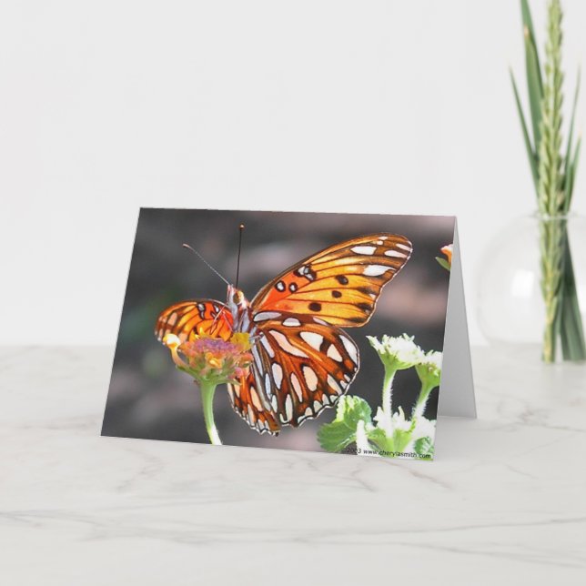 Carte de voeux de papillon de fritillaire de Golfe (Devant)