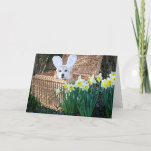 Carte de vœux de Pâques Corgi dans un panier