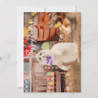 Carte de voeux de Pâques de Chat Ragdoll