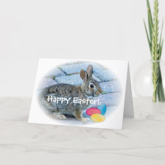 Carte de voeux de Pâques de lapin