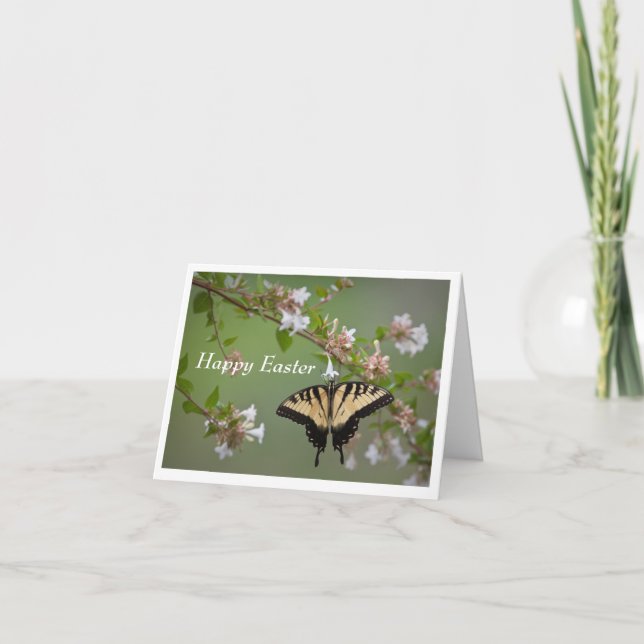 Carte de voeux de Pâques de papillon Swallowtail (Devant)