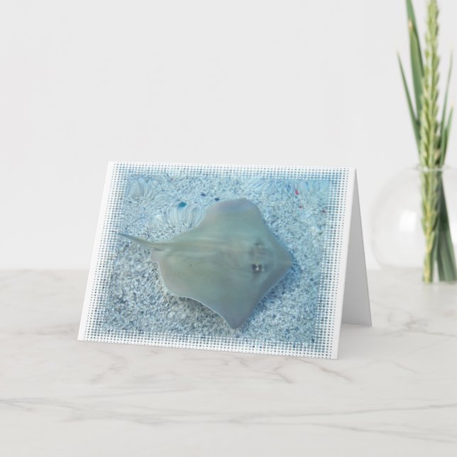 Carte de voeux de pastenague d'eau doux (Devant)