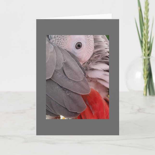 Carte de voeux de perroquet gris africain (Devant)