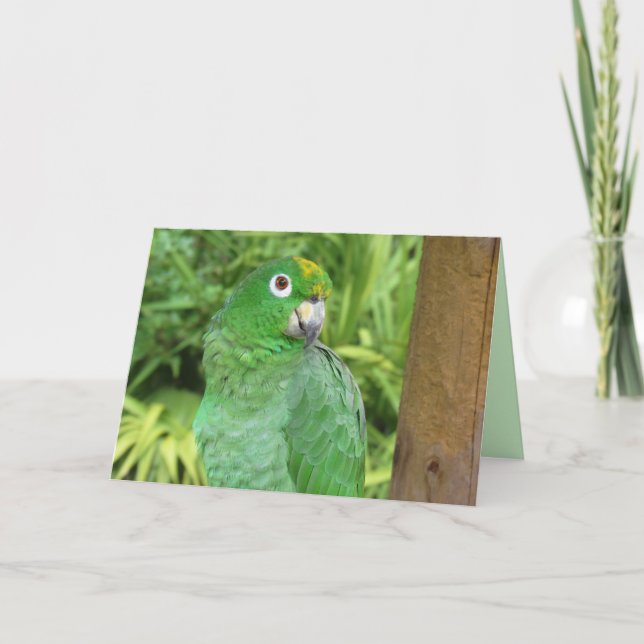 Carte de voeux de perroquet vert mignonne (Devant)