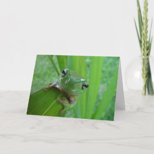 Carte de voeux de photo de grenouille