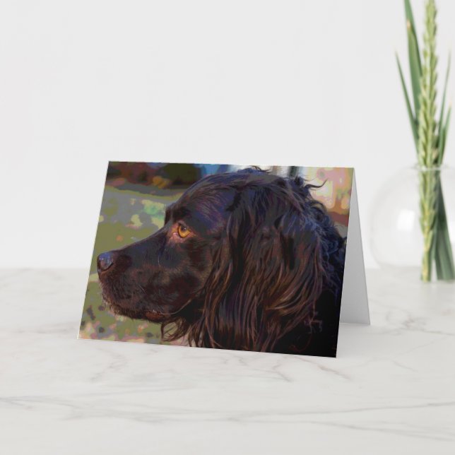 Carte de voeux de photo d'épagneul de Boykin (Devant)