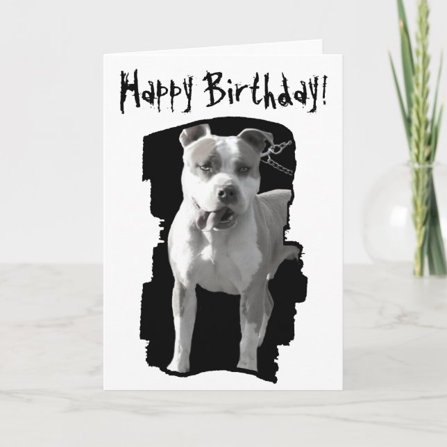 Carte de voeux de pitbull de joyeux anniversaire (Devant)