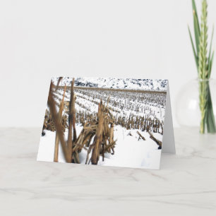 Carte de voeux de poésie de terrain de maïs