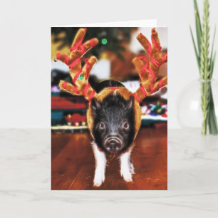 Carte de voeux de porc de Noël