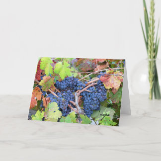 Carte de voeux de récolte de Napa Valley