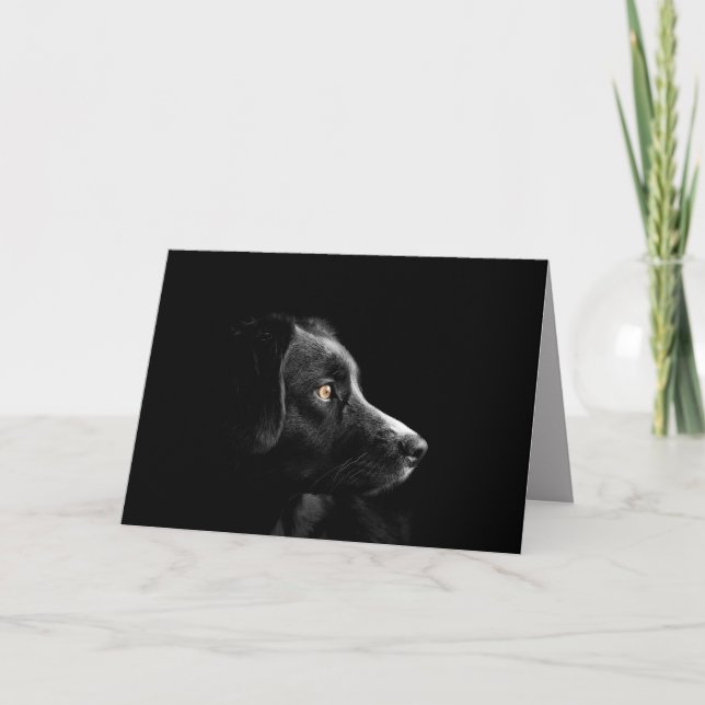 carte de voeux de récupération du labrador noir (Devant)