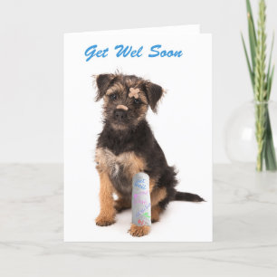 Carte de vœux de rétablissement Border Terrier chi