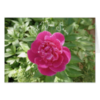 Carte de vœux de rétablissement Fleur de pivoine r