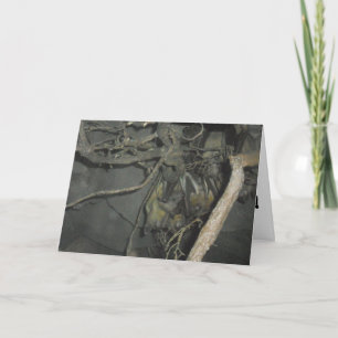 Carte de vœux de rétablissement "Fruit Bats"