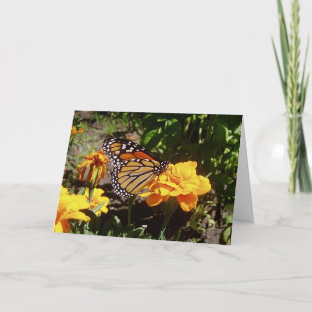 Carte de vœux de rétablissement "Monarch At Lunch" (Devant)