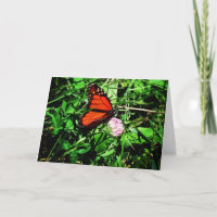 Carte de vœux de rétablissement "Papillon monarque
