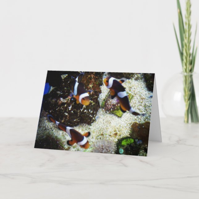 Carte de vœux de rétablissement "Poisson clown" (Devant)