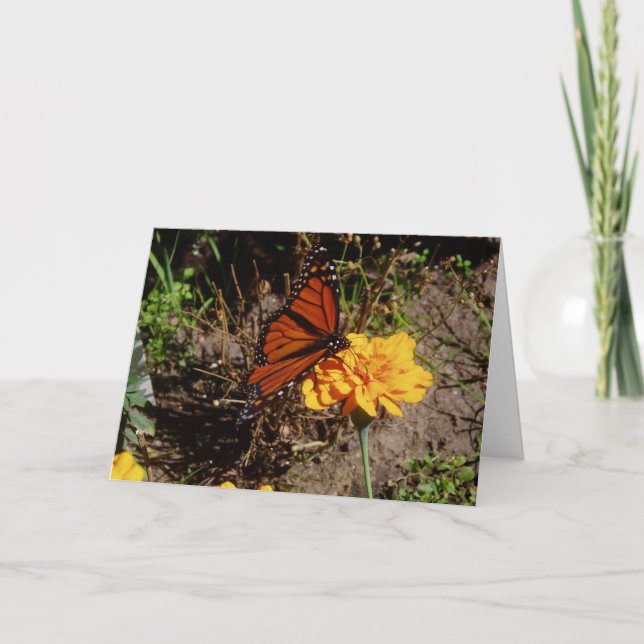 Carte de vœux de rétablissement "Upon A Marigold" (Devant)