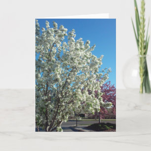 Carte de vœux de rétablissement « Valley Blossoms