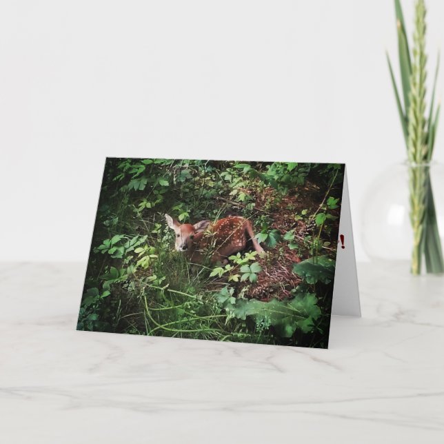 Carte de vœux de rétablissement "Whitetail Woods D (Devant)