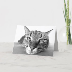 Carte de voeux de retrait