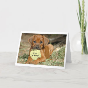 Carte de voeux de Rhodesian Ridgeback - je suis
