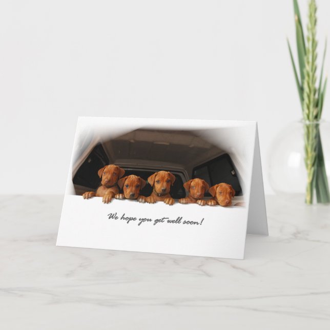 Carte de voeux de Rhodesian Ridgeback - obtenez (Devant)