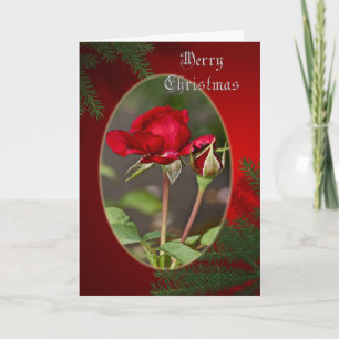 Carte de voeux de rose rouge et Noël de bourgeon