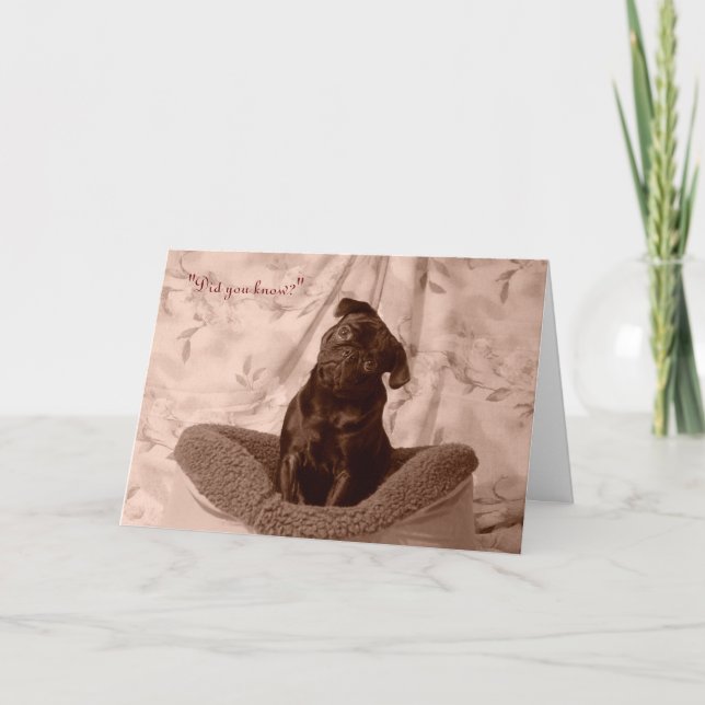 Carte de voeux de Saint-Valentin de carlin de (Devant)