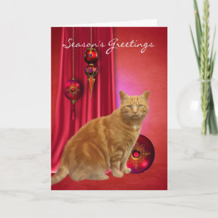 carte de vœux de saison avec chat roux et ornement