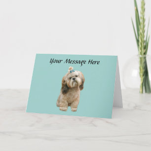 Carte de voeux de Shih Tzu