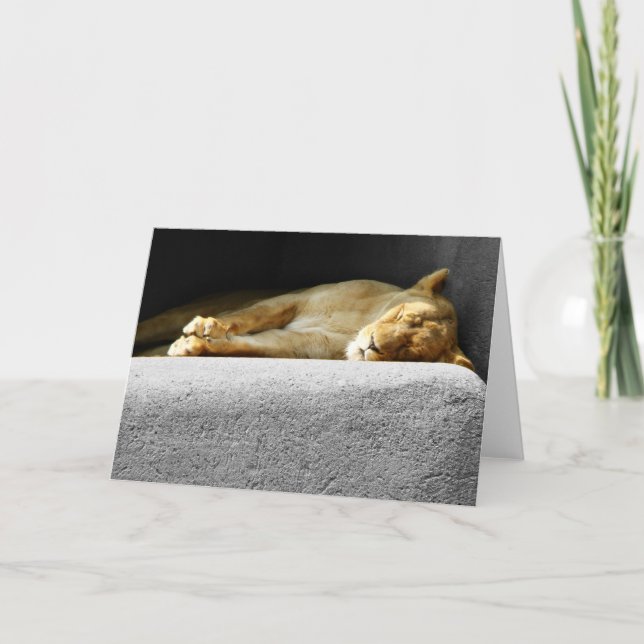 Carte de voeux de sommeil de la lionne (Devant)