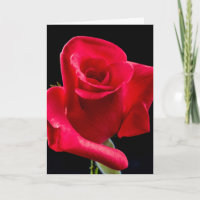 CARTE DE VŒUX DE SYMPATHIE AVEC ROSE ROUGE