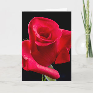 CARTE DE VŒUX DE SYMPATHIE AVEC ROSE ROUGE