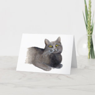 Carte de vœux de sympathie Chat Gris