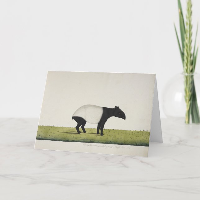 Carte de voeux de Tepir (Devant)