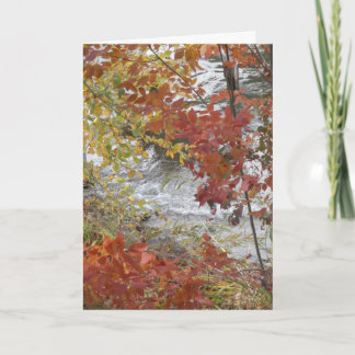 Carte de voeux de thanksgiving