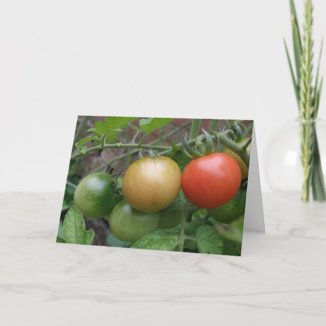 Carte de voeux de tomates de feu de signalisation (Devant)
