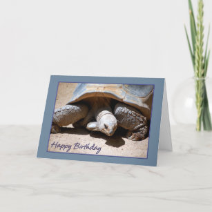 Carte de voeux de tortue de joyeux anniversaire